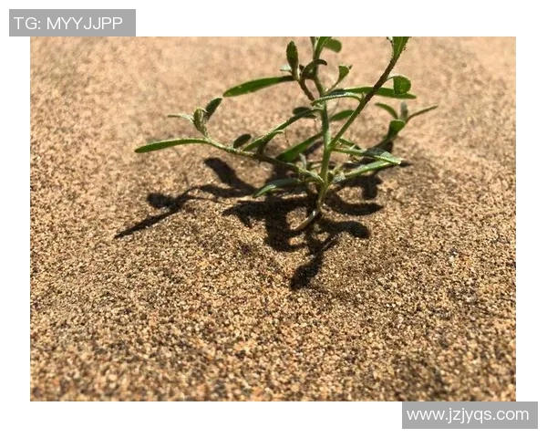 朱旭航:在科技创新浪潮中引领未来发展的青年领袖之路