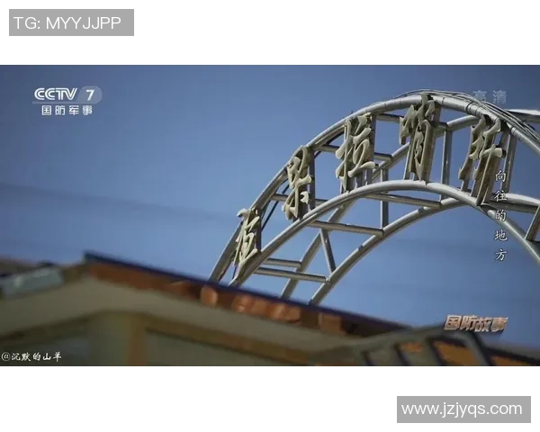 成都飞盘队防守表现分析与战术得失探讨